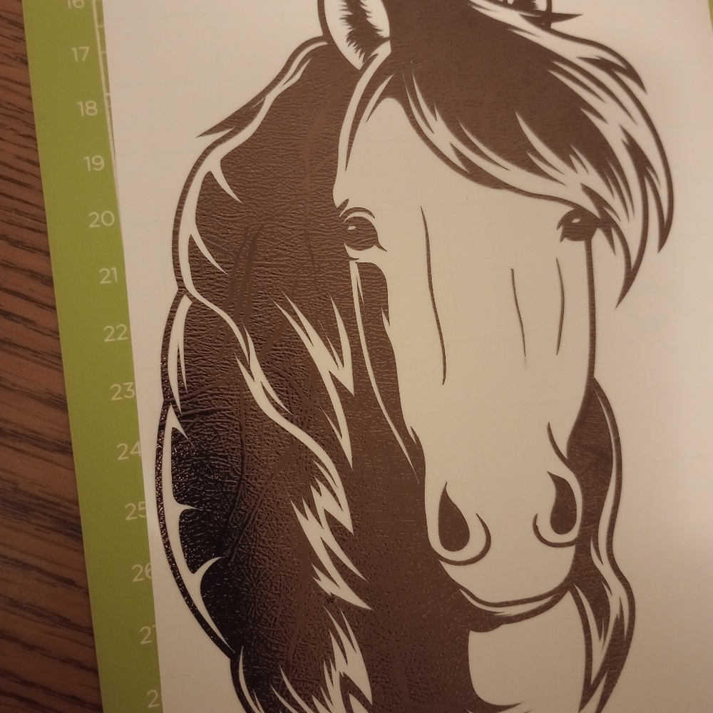 Car decals & etc. - Picture 9 of 9